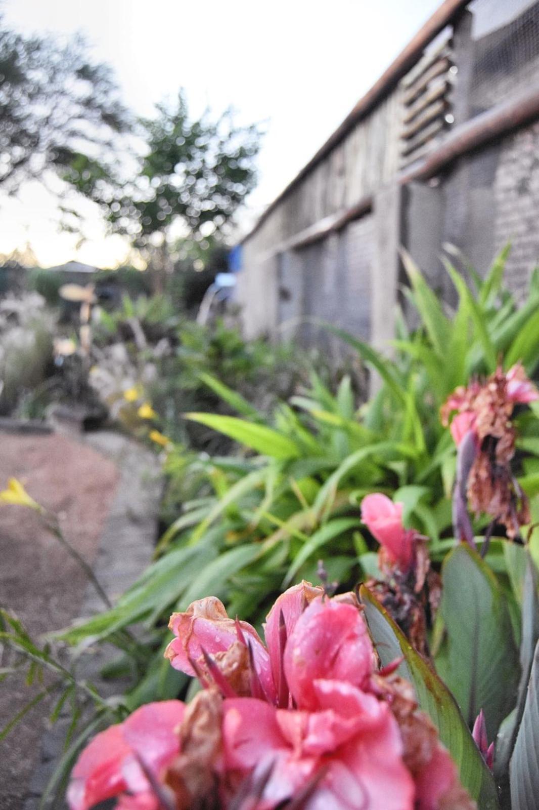 Knowhere Selfcatering Unit 1 Na Omaruru Bagian luar foto
